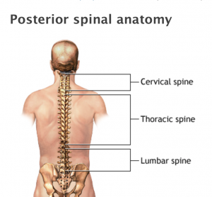 back pain 