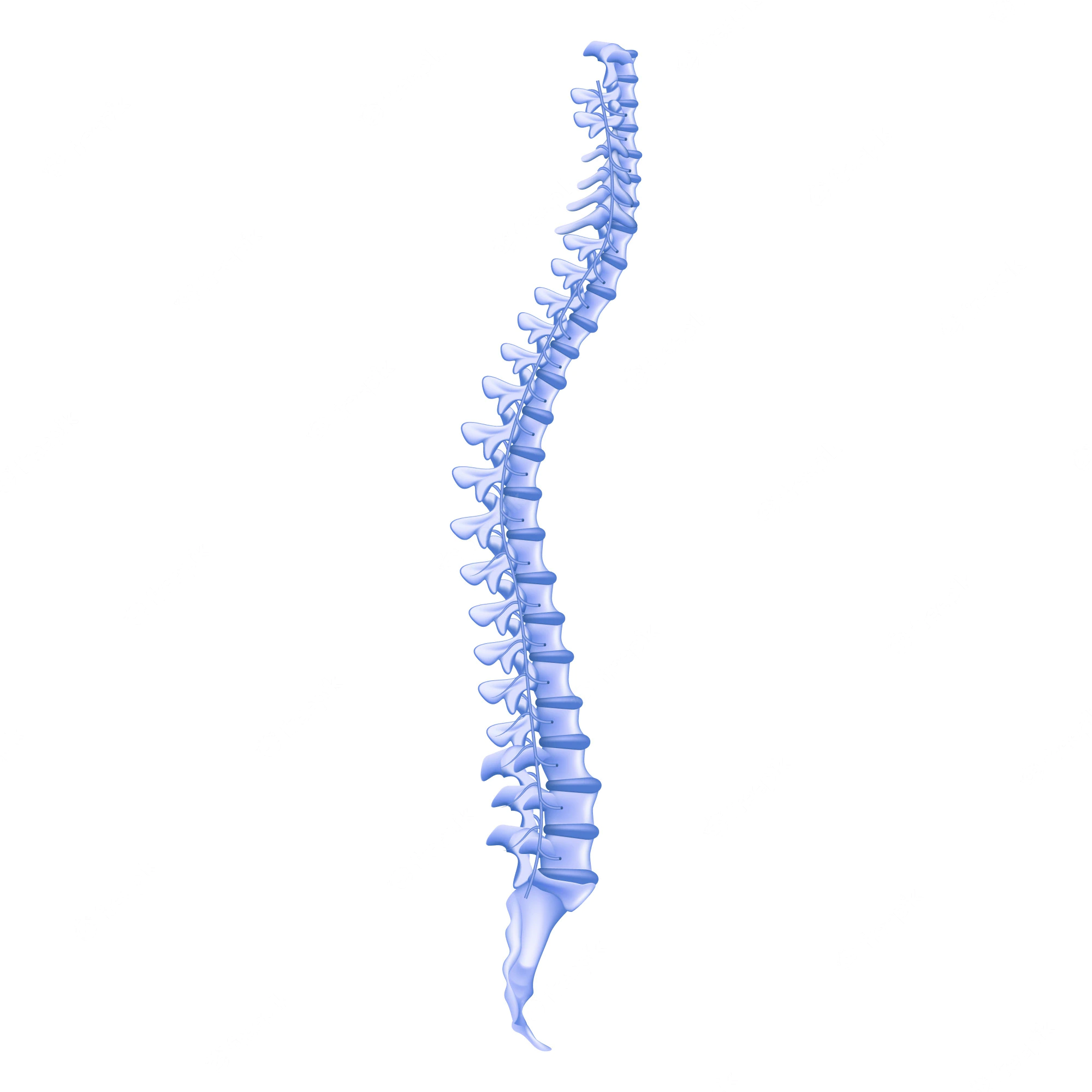 Spine Fusion Surgery